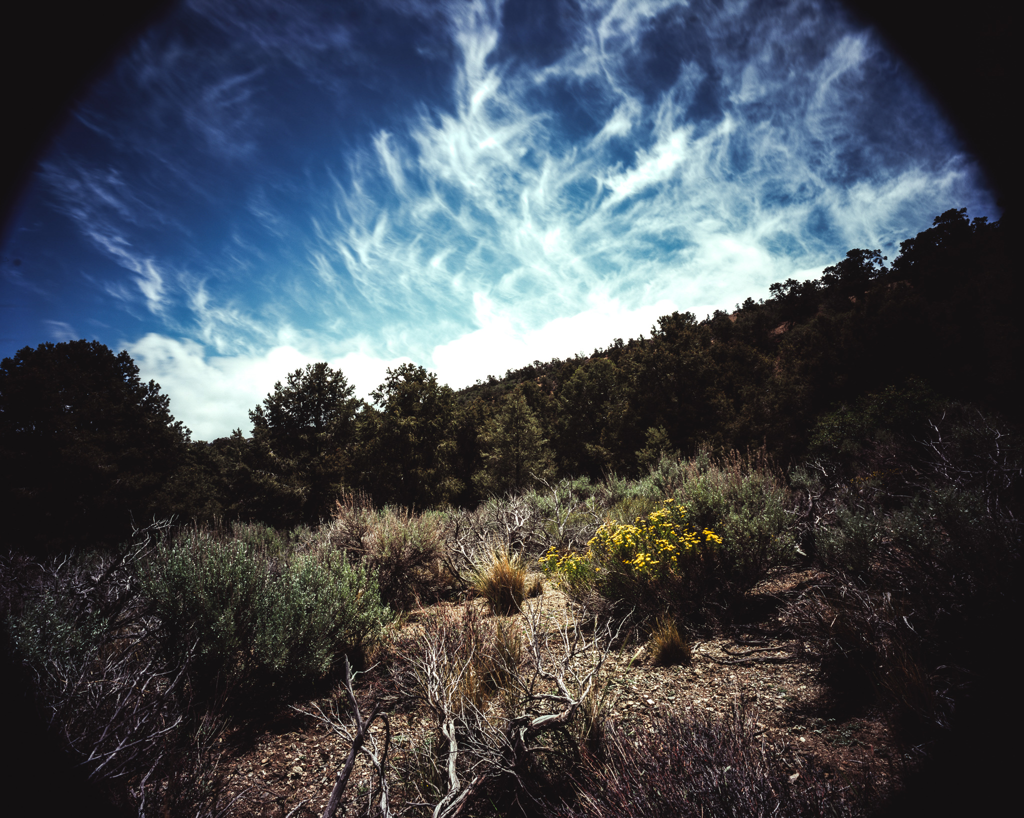 angeles crest creamery 2