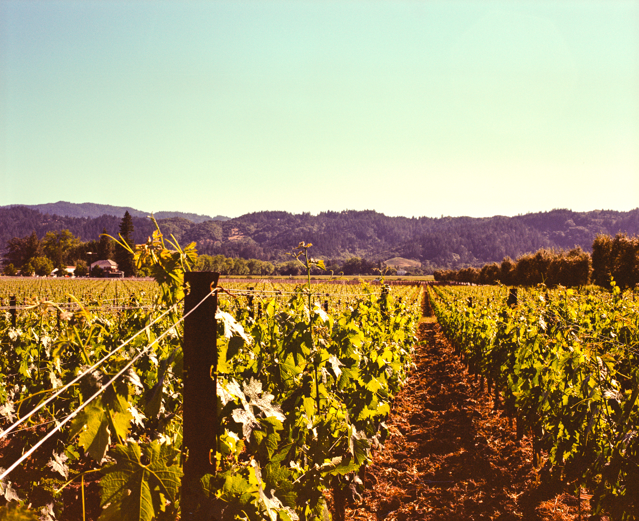 sonoma california