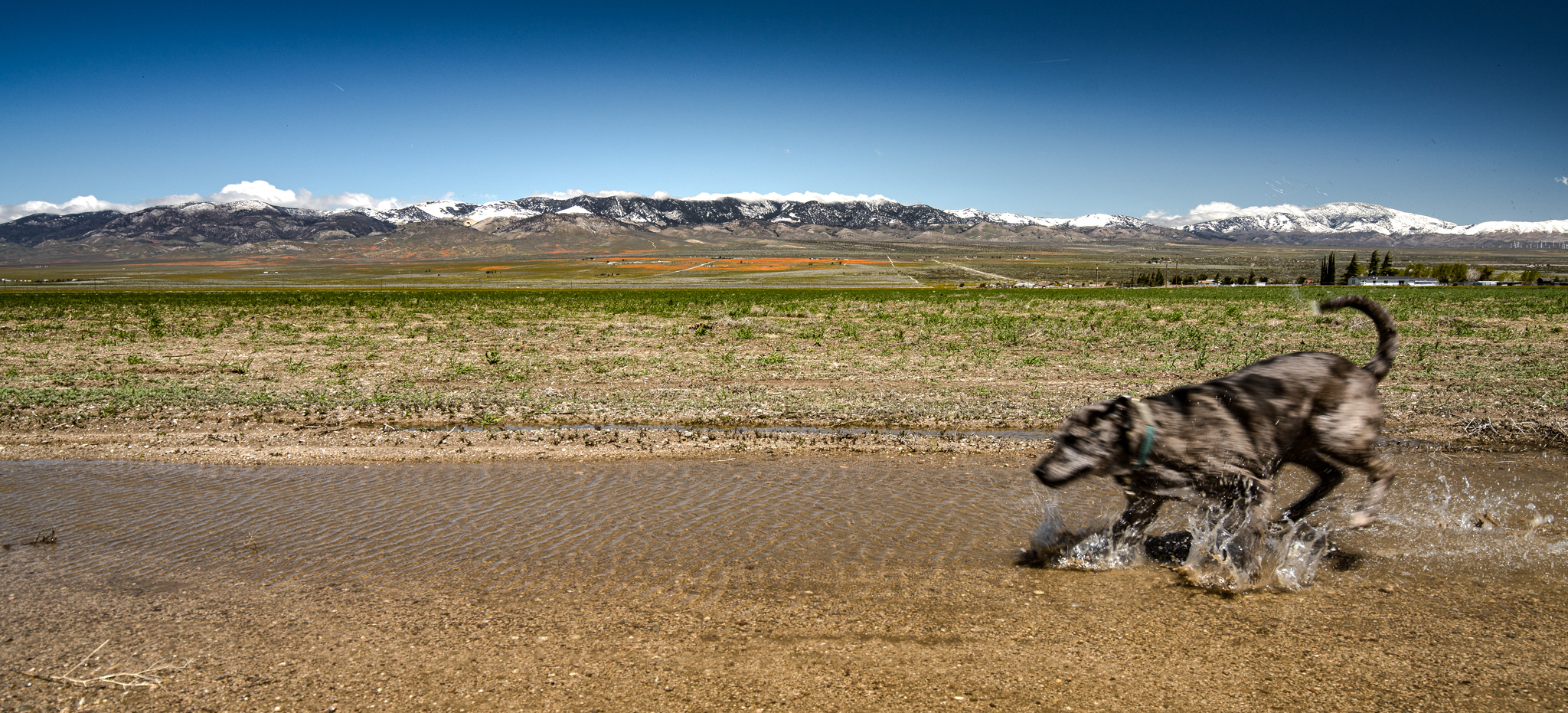 soda lake