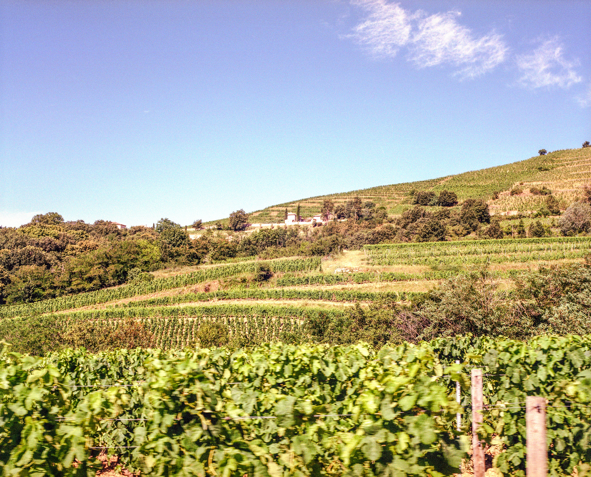 valhona