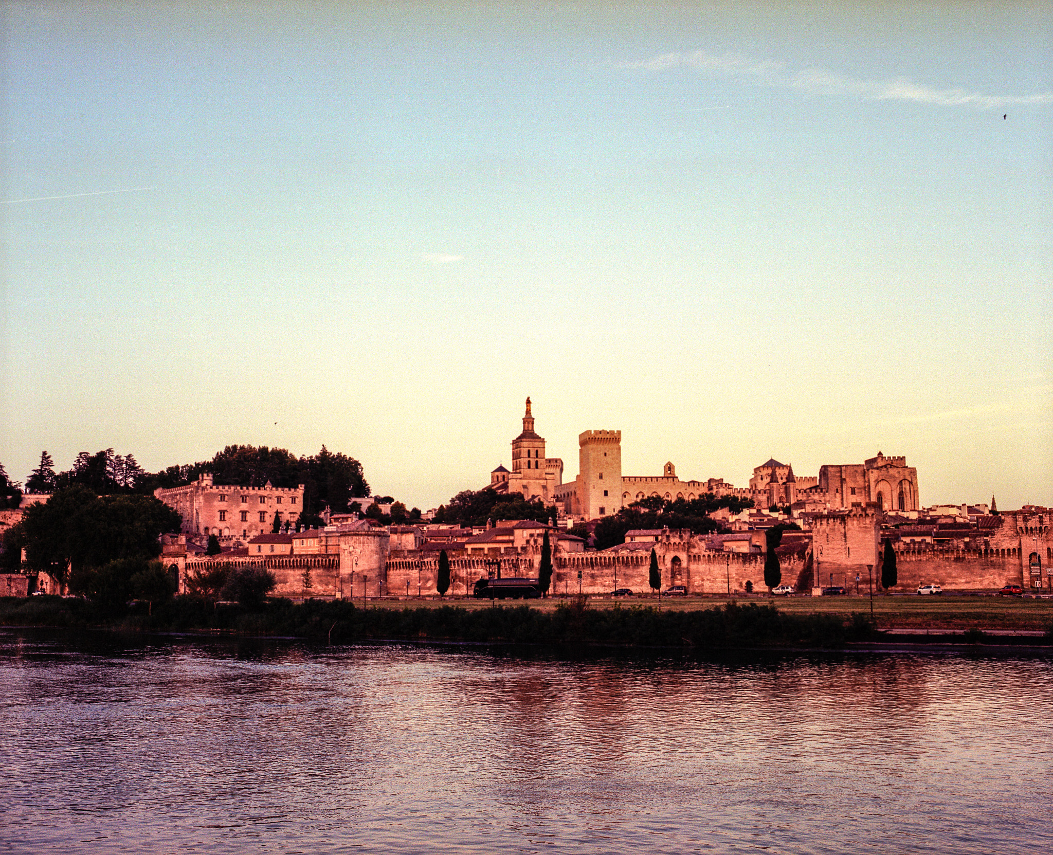 camargue