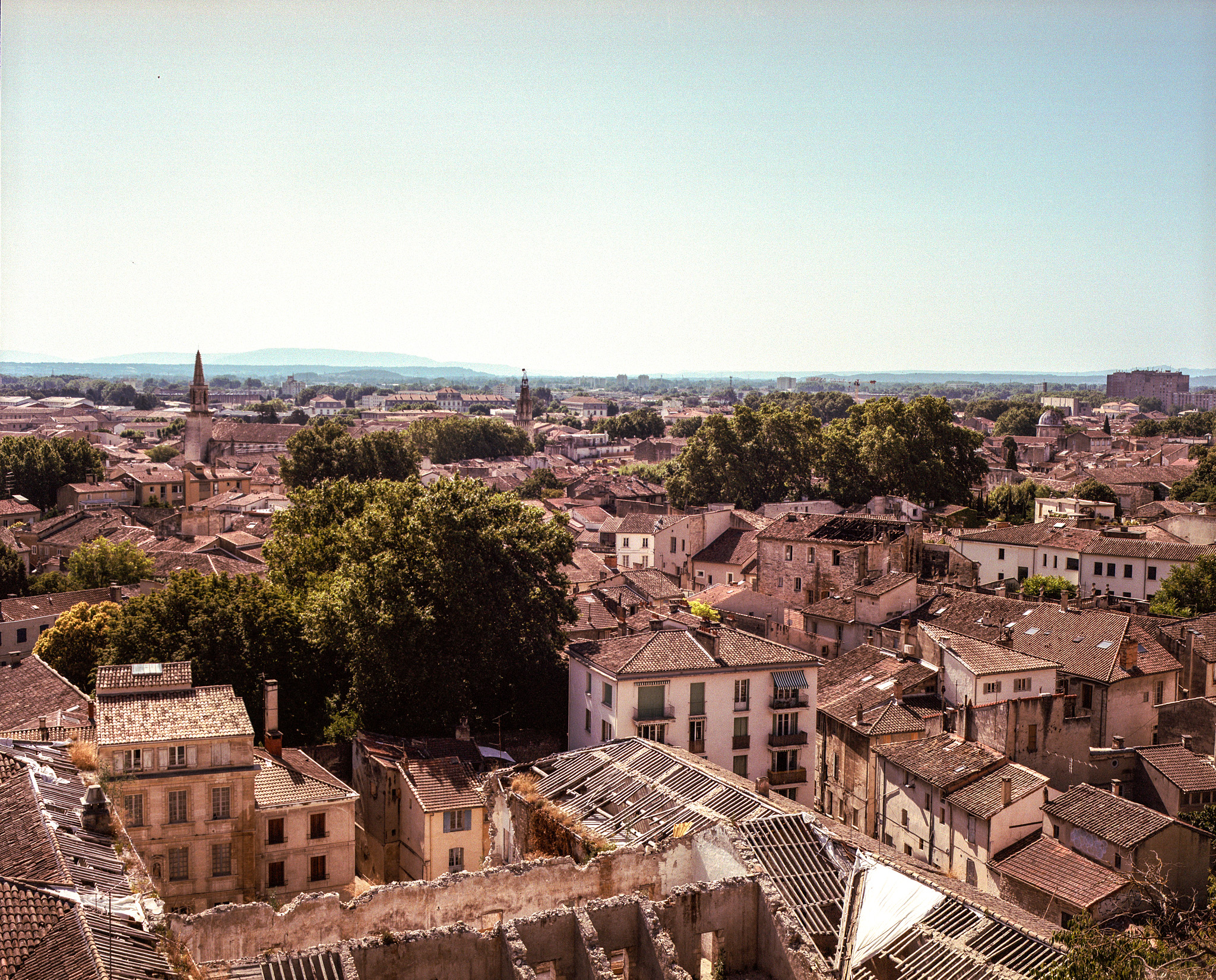avignon