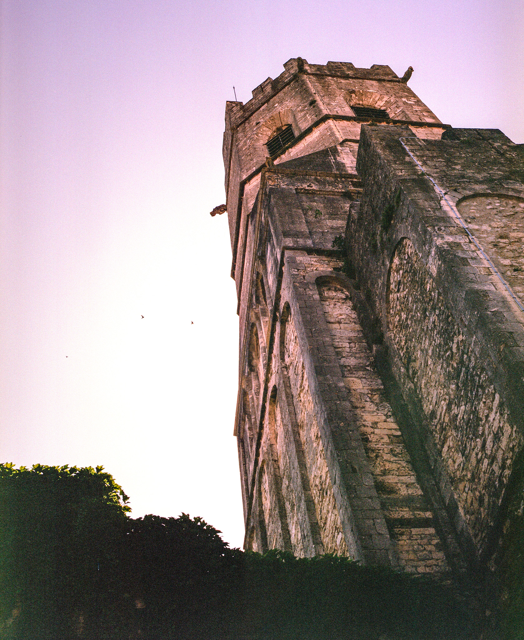 viviers